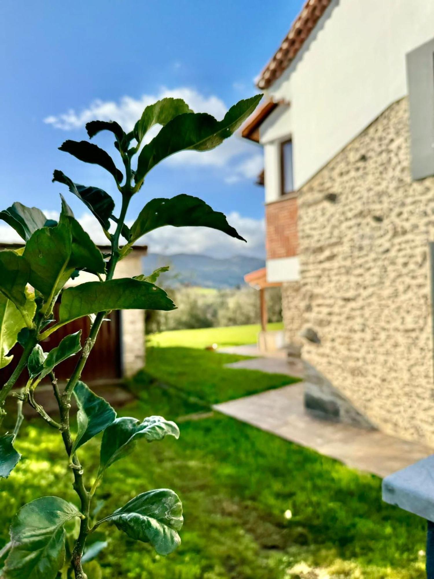 Terradeva Apartamentos Colombres Buitenkant foto